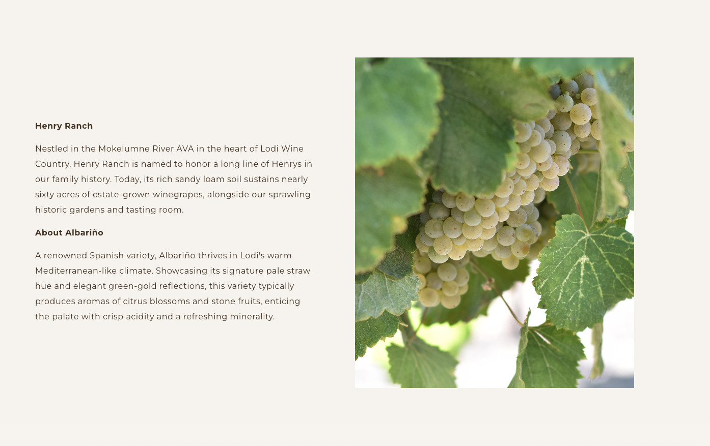 Varietal and vineyard education section with estate imagery