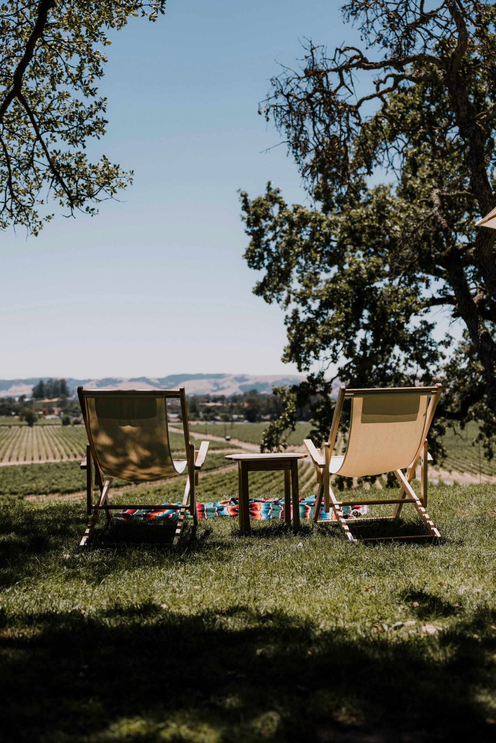 Chairs overlooking a Wine Country vineyard